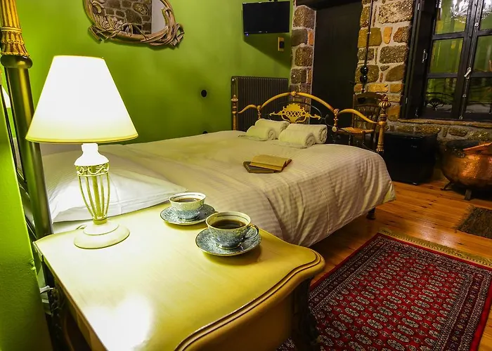 Pensionat Varnevo 4*